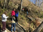 resIMG_20191128_125202_6172.jpg